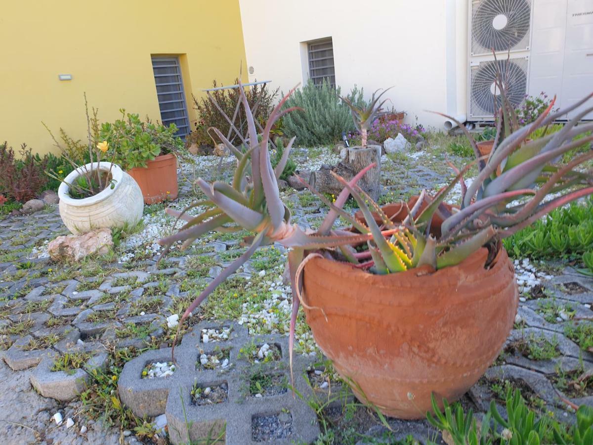 Aegina Bed&Culture Apartment Exterior foto